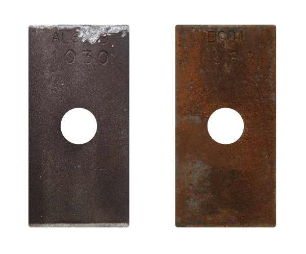 Salamander CG1 Competitors - After Tests